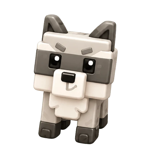 Raccoon